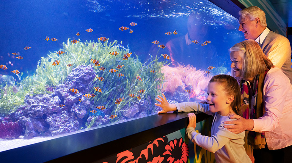 Family looking at feature within aquarium